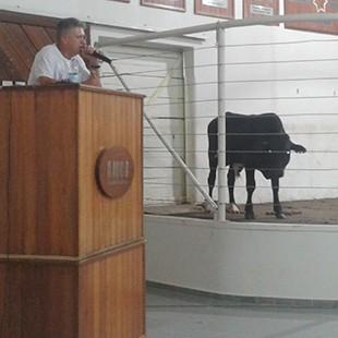 Leilão Beneficente arrecada mais de R$ 100 mil