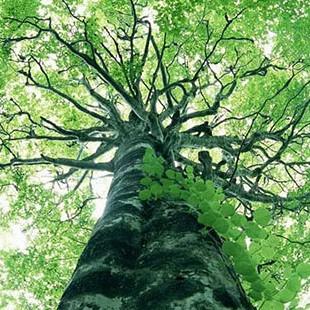 Respire e viva mais e melhor!