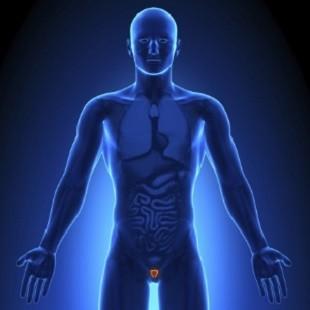 BH recruta pacientes para tratar câncer de próstata