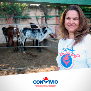 Aconteceu 80º Leilão de Corte