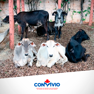 A Convívio agradece os fazendeiros de Curvelo e região