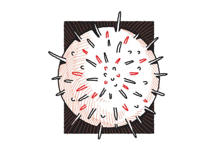 As principais novidades do maior congresso do mundo sobre câncer